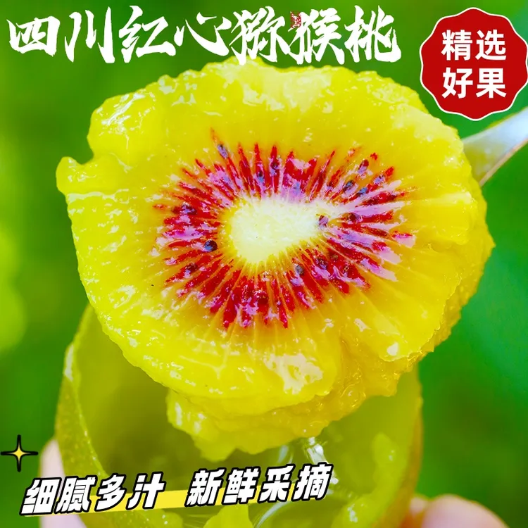 正宗蒲江红心猕猴桃果型饱满细腻香甜产地当季新鲜水果直发