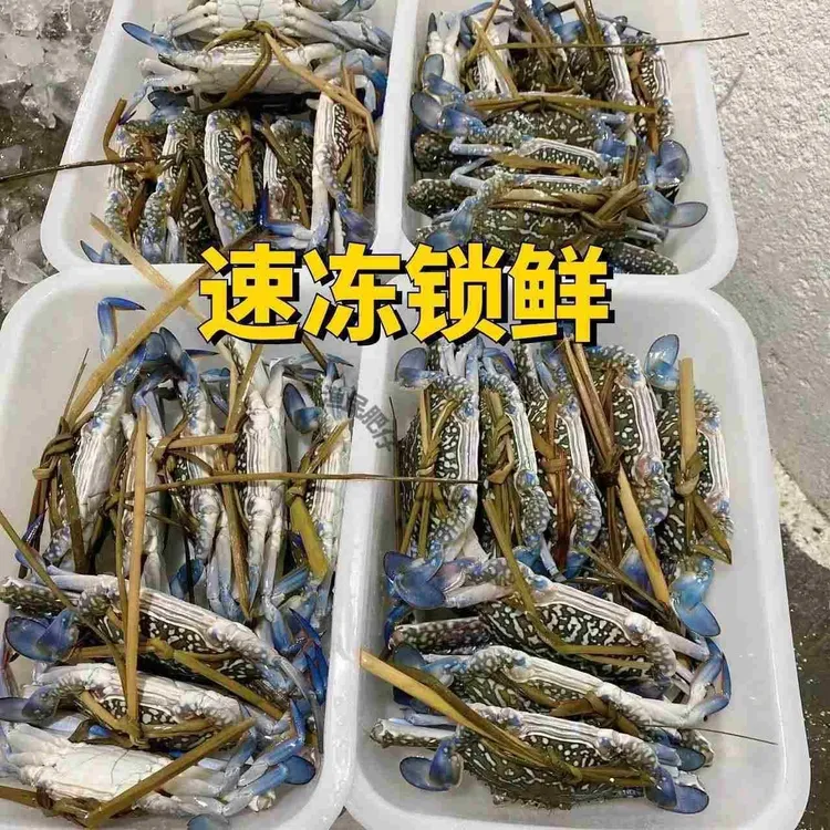 海捕兰花蟹新鲜美味个大肥美顺丰包邮