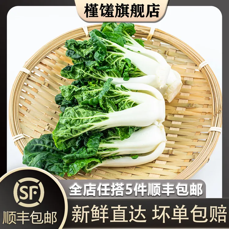 槿馐奶白菜500g 新鲜宁夏矮脚奶白菜 牛奶白菜 奶油白菜