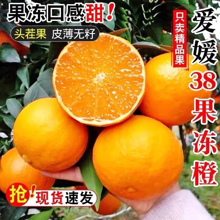 四川正宗爱媛38号果冻橙新鲜橙子3斤5斤原生态当季水果老品种柑橘