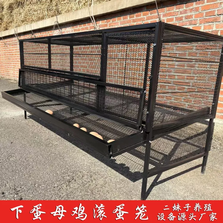 新款收蛋鸡笼螺丝固定安装结实耐用防鼠防黄鼠狼