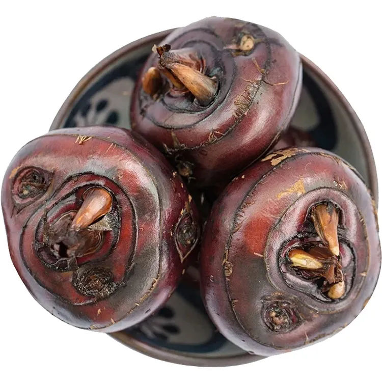 大马蹄果装5斤大果整箱新鲜时令水果煲汤 脆甜多汁5斤荸荠现挖