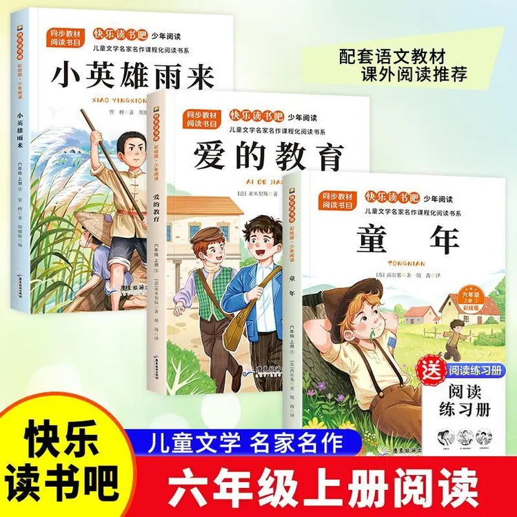 六年级上册快乐读书吧必读课外中国书目童年爱的教育小英雄雨来