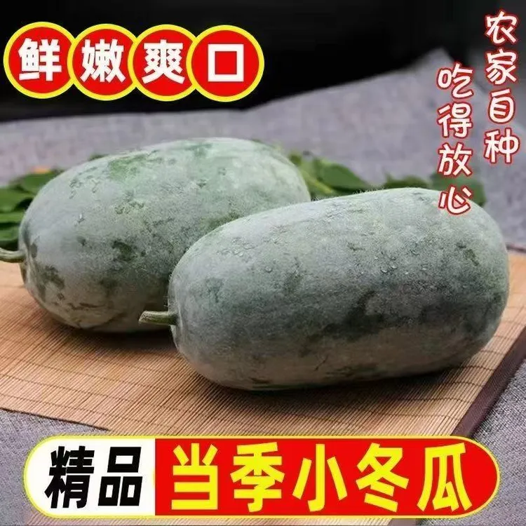 新鲜小冬瓜挂霜水果冬瓜迷你冬瓜新鲜蔬菜9-10斤4-5斤