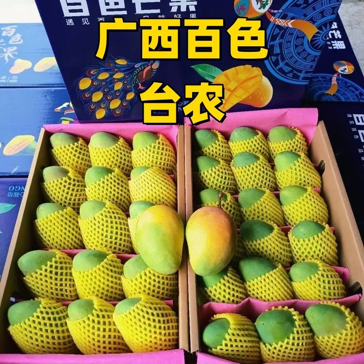 广西百色台农芒果产地直发树熟新鲜当季水果香甜可口