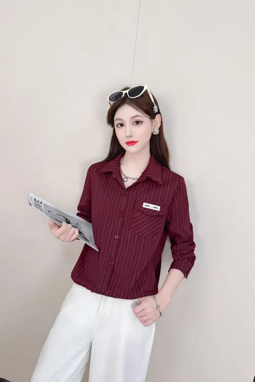 2025秋季新款时尚洋气竖条纹衬衫女轻奢高级感法式长袖衬衣休闲