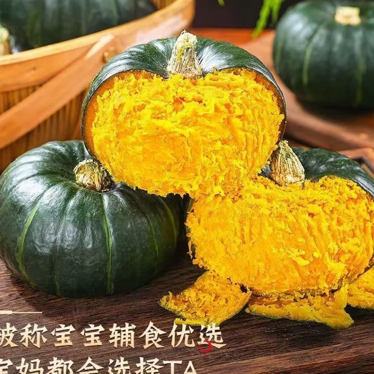 正宗沙地贝贝南瓜粉糯香甜板栗味宝宝辅食整箱批发