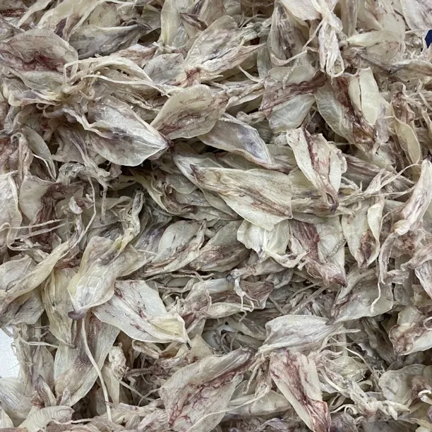 广东汕尾港海陆丰船晒鱿鱼干（全淡晒）保证船晒干货