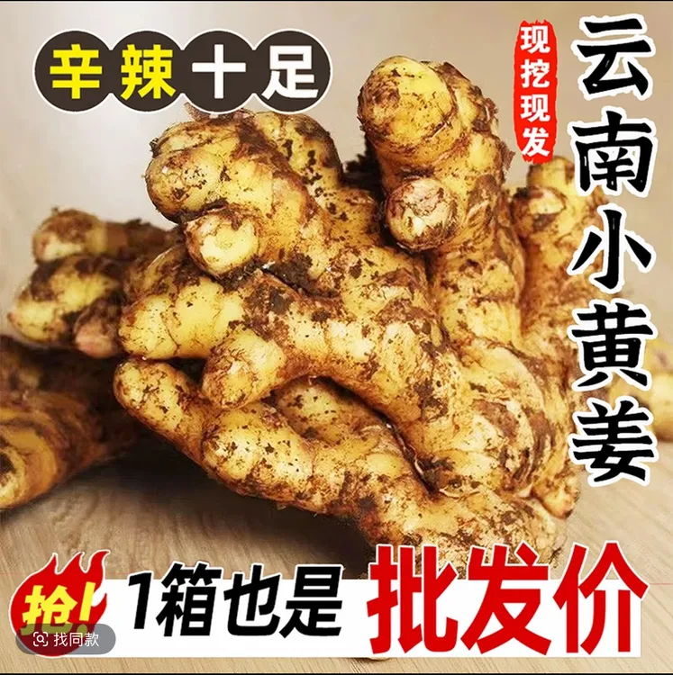 正宗云南小黄姜新鲜现挖老姜嫩姜月子姜当季鲜姜直发