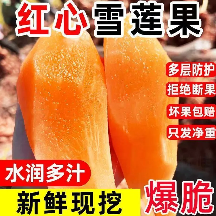 云南天山雪莲果新鲜应季黄心水果清甜脆爽多汁孕妇儿童水果