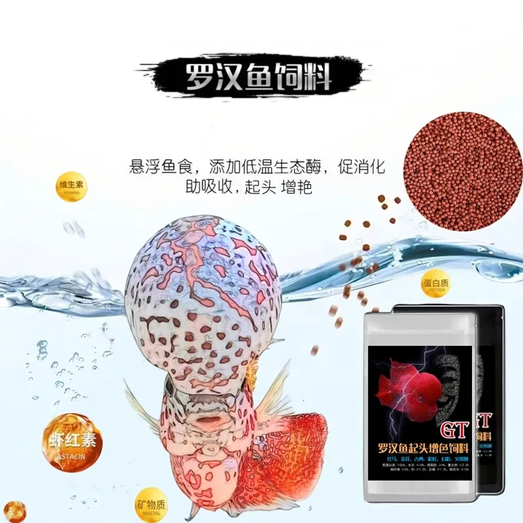 高蛋白上浮型罗汉鱼饲料爆头起头增艳鱼食小颗粒攻头增色鱼粮罗汉鱼专用饲料