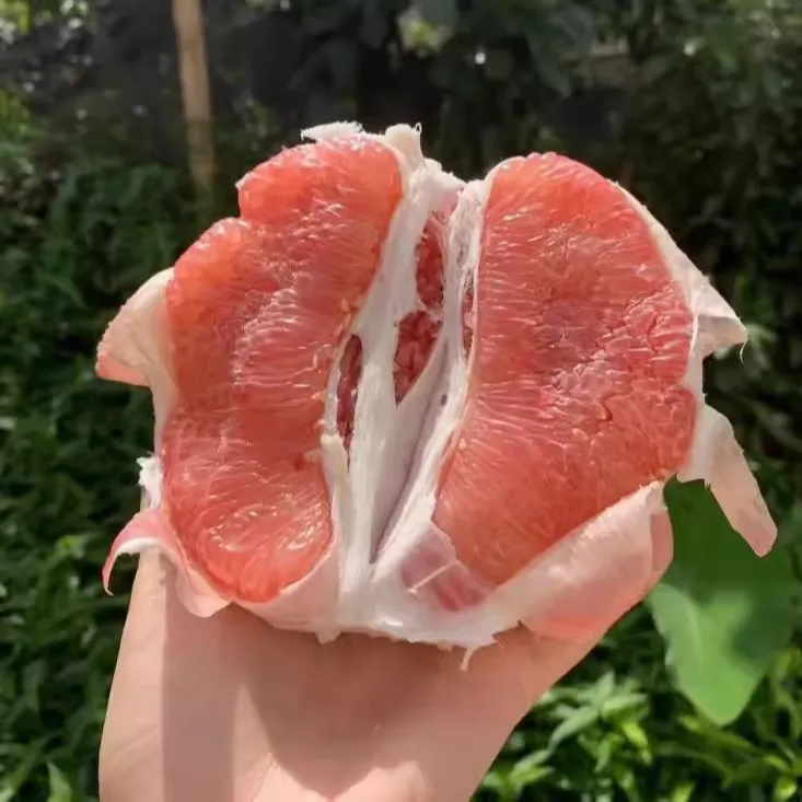 【葛泥优选】5斤/9斤湖北宜昌红心蜜柚香甜多汁红肉柚子农家自种当季水果