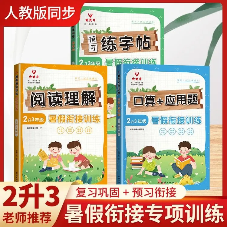 二升三暑假衔接二年级下册暑假作业期末总复习语文阅读理解练字帖