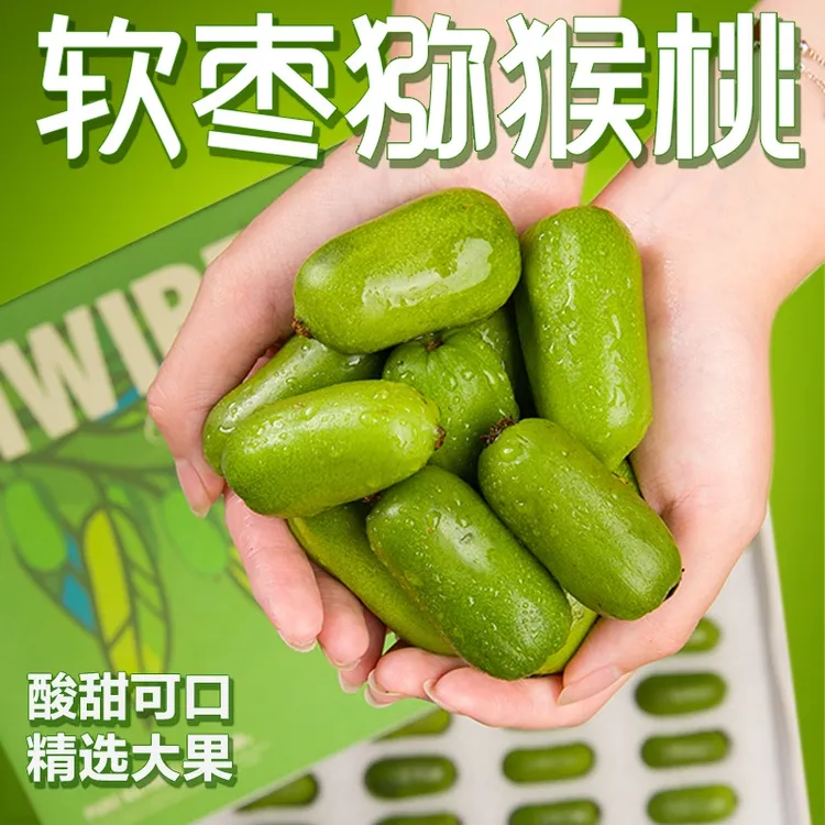 【顺丰包邮】丹东软枣猕猴桃东北软枣小猕猴桃新鲜奇异莓新鲜猕猴桃