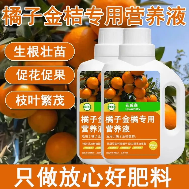 橘子树专用营养液金桔专用肥料浓缩液体水溶肥盆栽果树通用有机肥