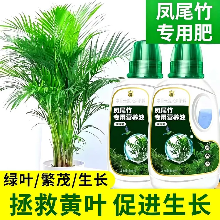 凤尾竹浓缩营养液花肥水培米竹凤尾蕉专用肥料散尾葵水溶液体盆栽