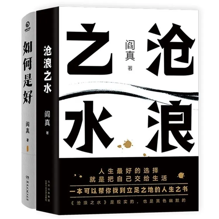 沧浪之水电视剧岁月阎真原著现当代经典官场职场小说如何是好
