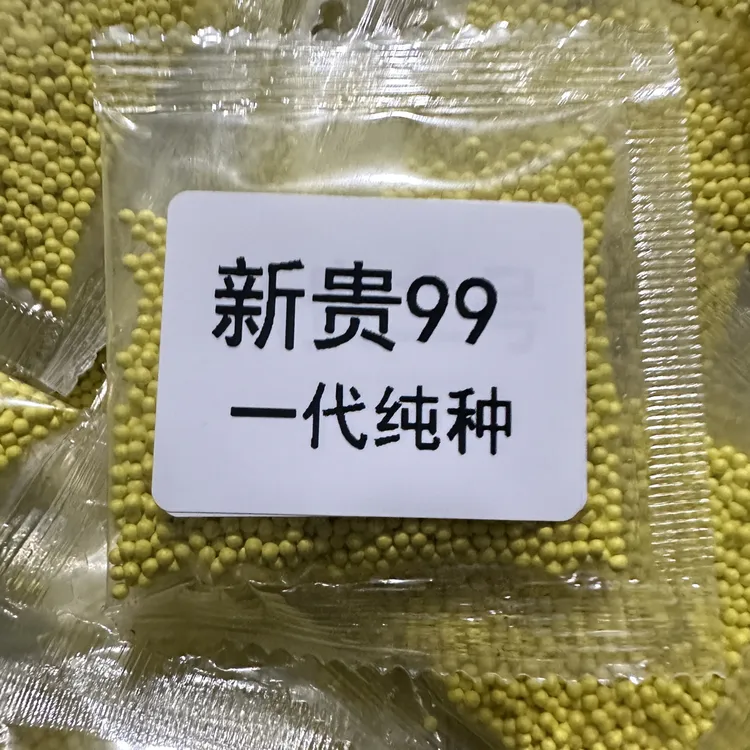 新贵99颗粒状适用海拔2400以下