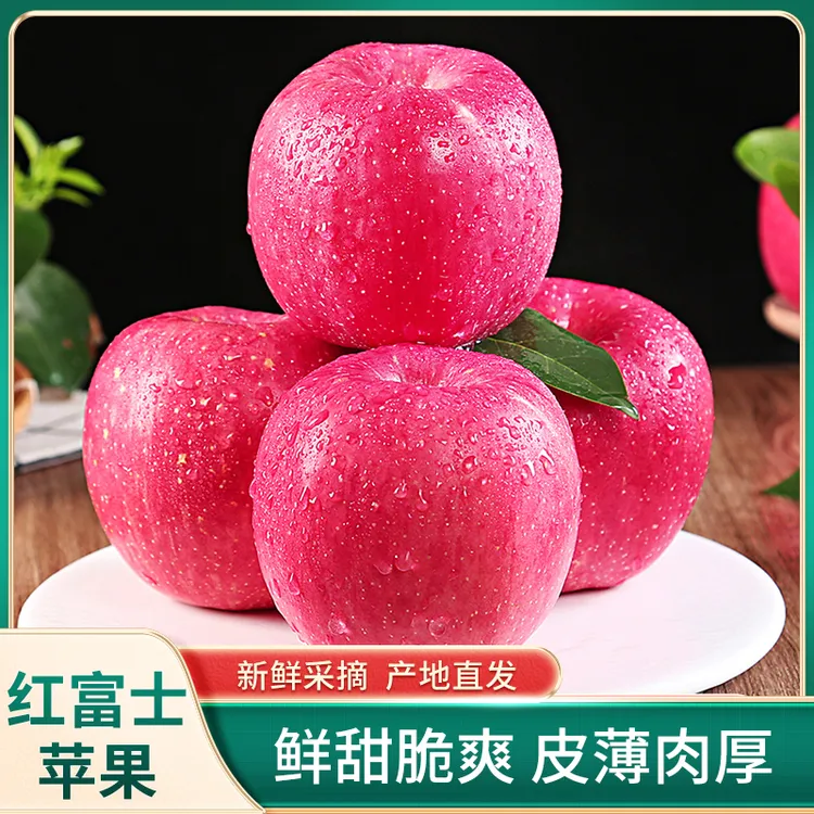 【甘肃红富士苹果】当季新鲜水果新鲜脆甜香甜可口脆苹果果园直发