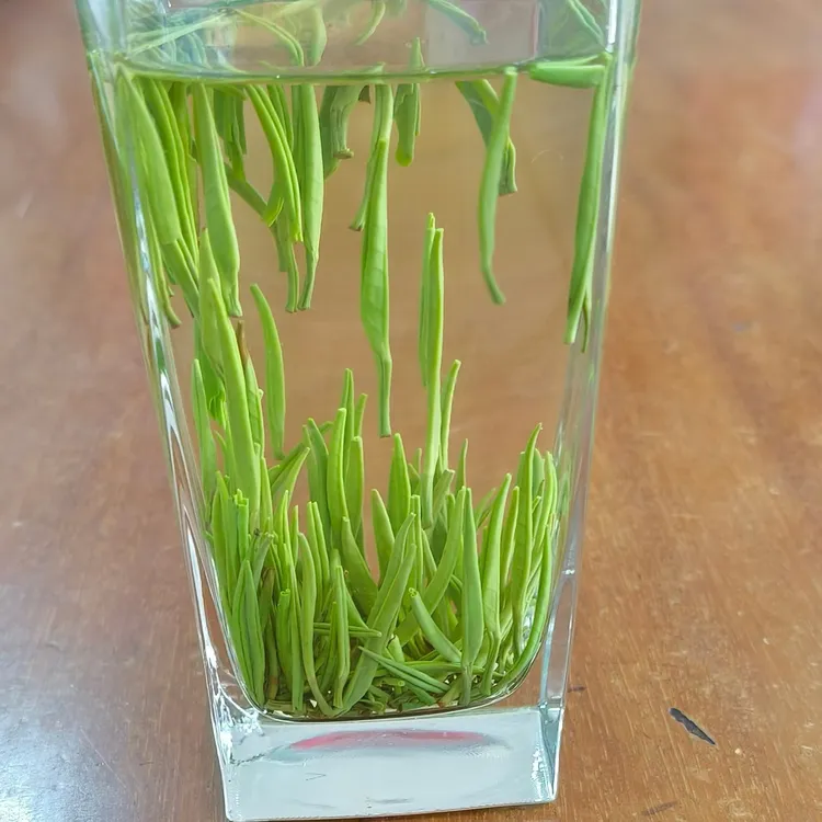贵州湄潭原产地新茶雀舌绿茶 颗颗芽头 高山春茶清香型兰花香