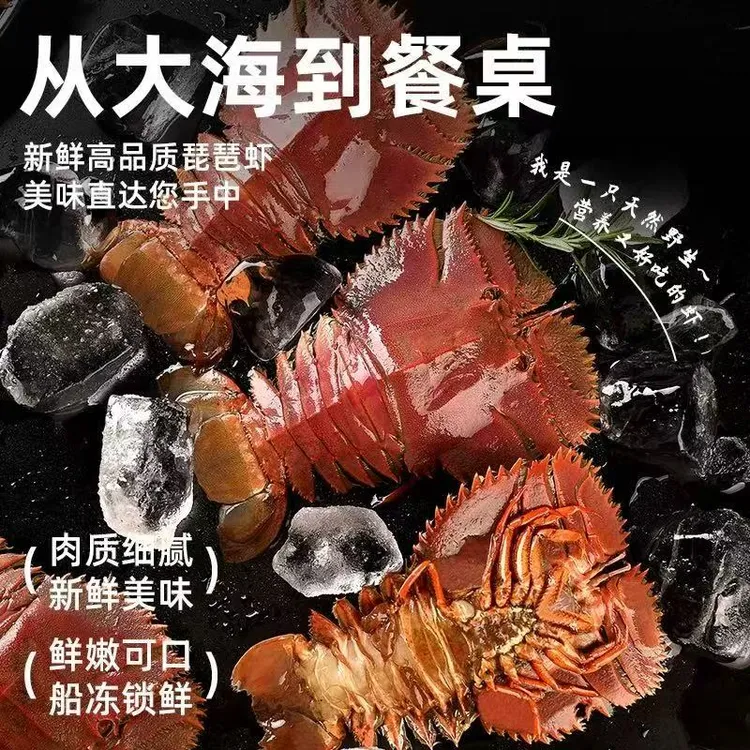 东海海鲜海捕九齿扇虾鲜活琵琶虾（鲜活发货，保鲜不保活）