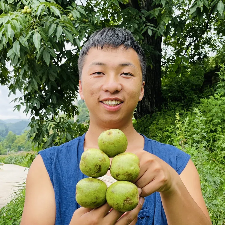 贵州威宁高山老树新鲜薄壳湿核桃