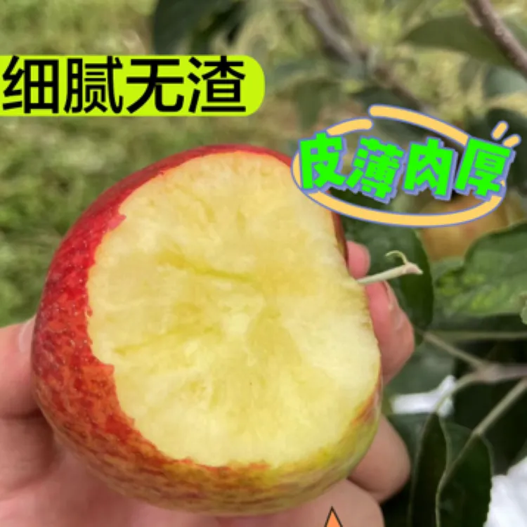云南昭通高原丑苹果新鲜采摘脆甜多汁。