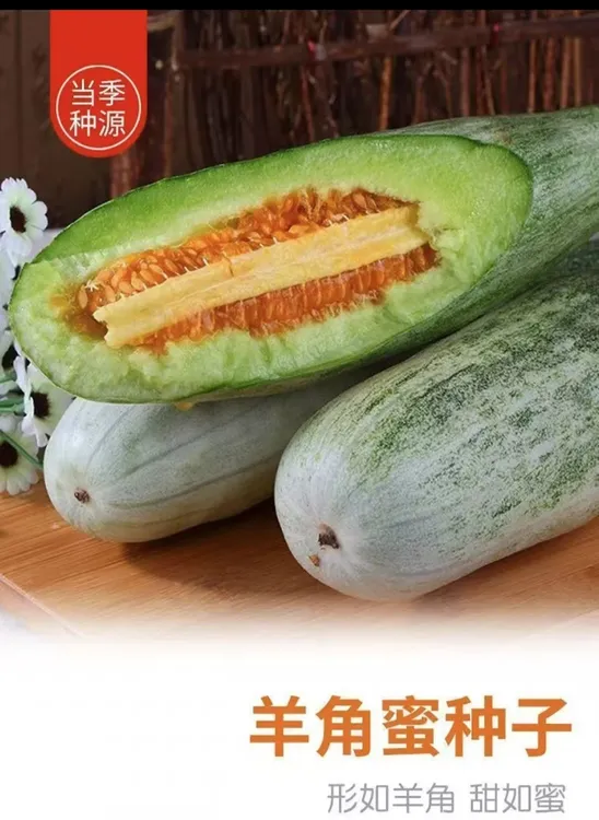 甜脆羊角蜜 当年新籽