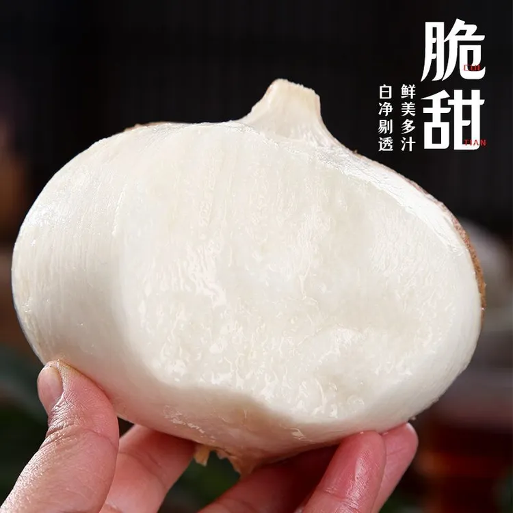 【顺丰快递】贵州新鲜现挖凉薯白心地瓜脆甜多汁当季水果蔬菜
