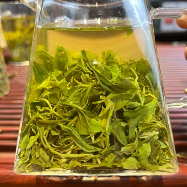 ［99春绿茶］A沁禧春2025年露天日照绿茶春茶