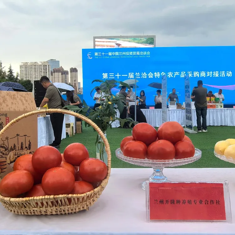 开隆合作社草莓西红柿