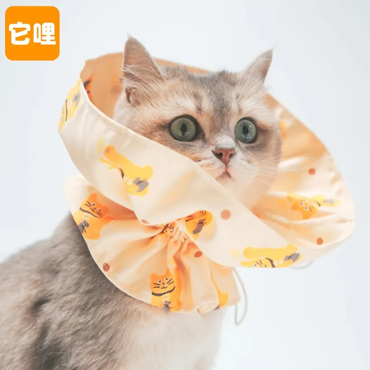 TALI/它哩猫宠物伊丽莎白圈可爱橘原创招财猫可调节式防抓挠皮肤商品图