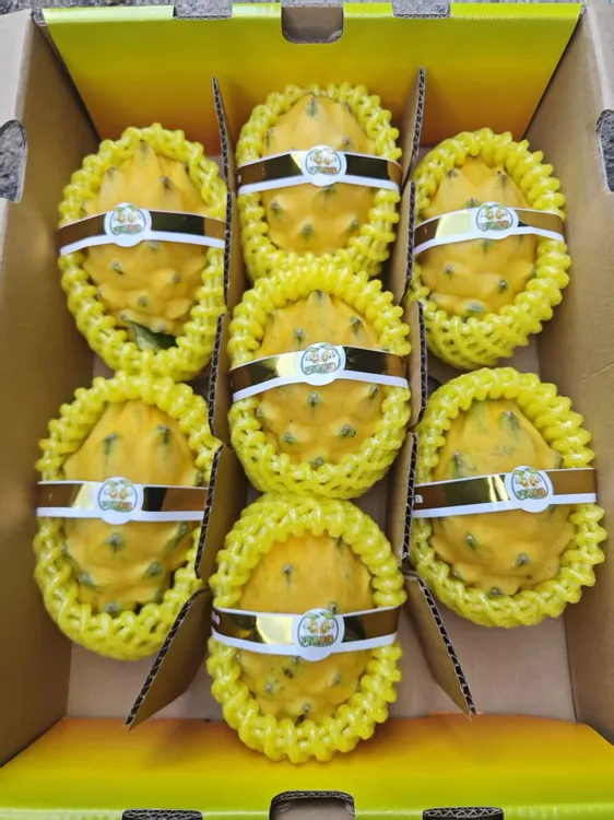 新鲜采摘燕窝果麒麟果10年老树果基地直发孕妇宝宝水果