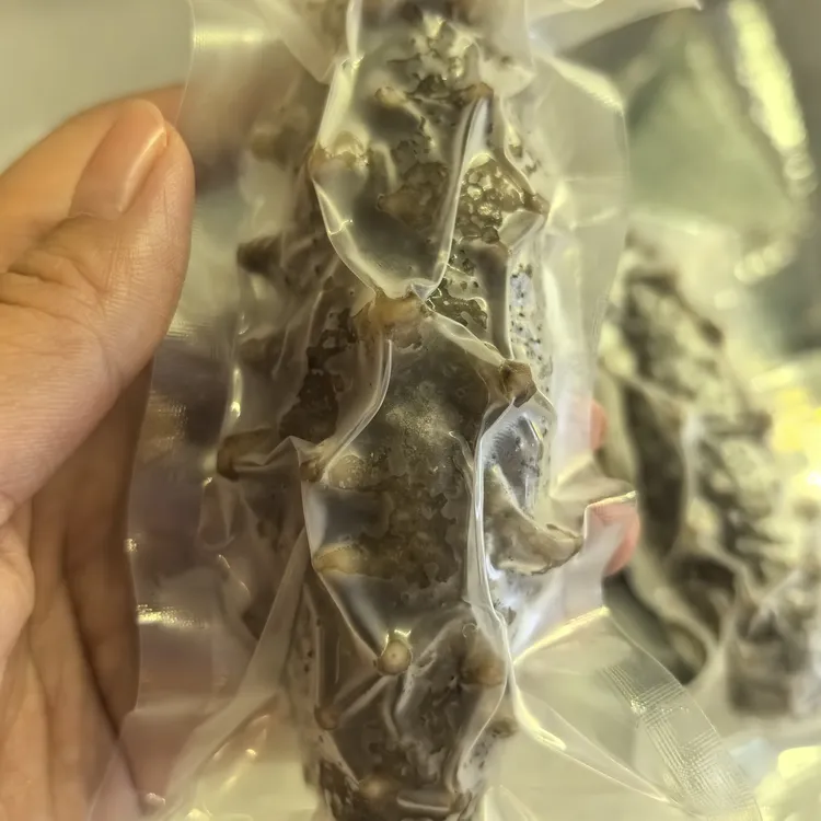 大连底播鲜食海参7-8斤一头，开袋即食（新疆不发货）