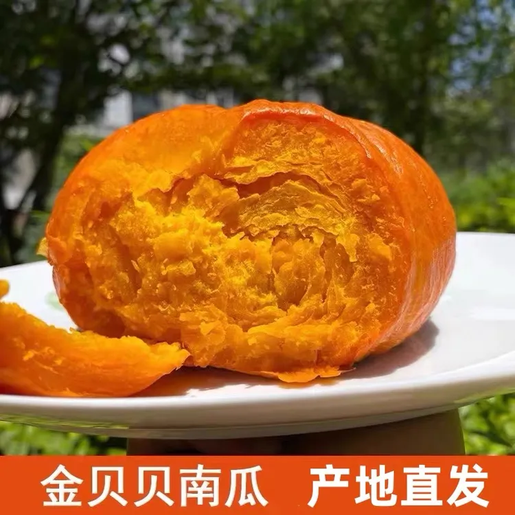 （幺哥专属）正宗红贝贝南瓜产地直发粉糯香甜正宗板栗味稀有贝贝