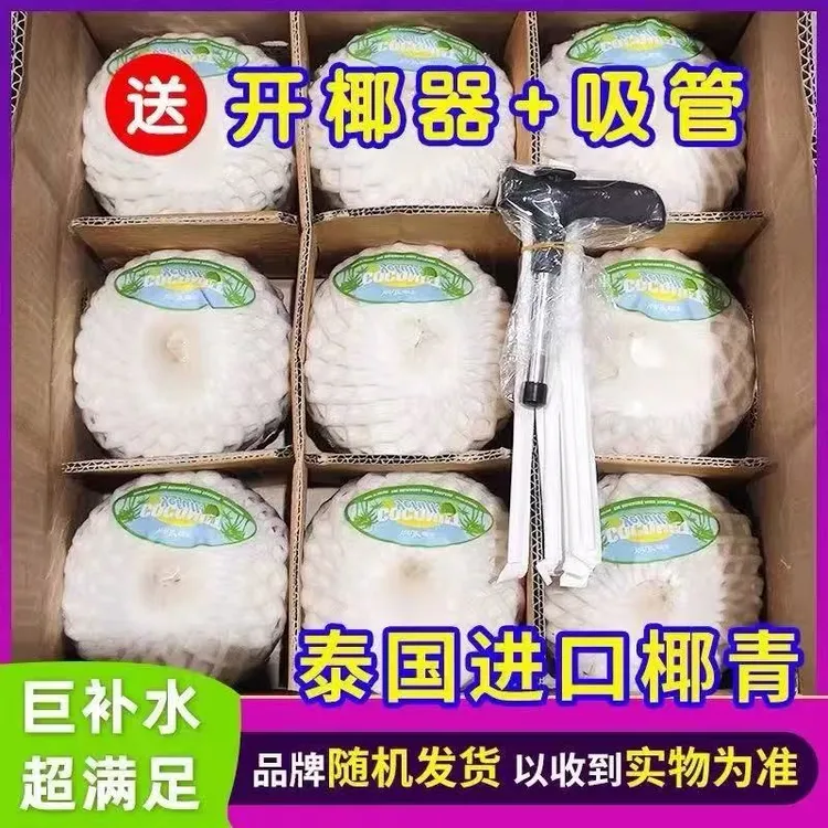 正宗进口泰国去皮椰青 2-9个新鲜当季椰子清甜多汁孕妇补羊水水果