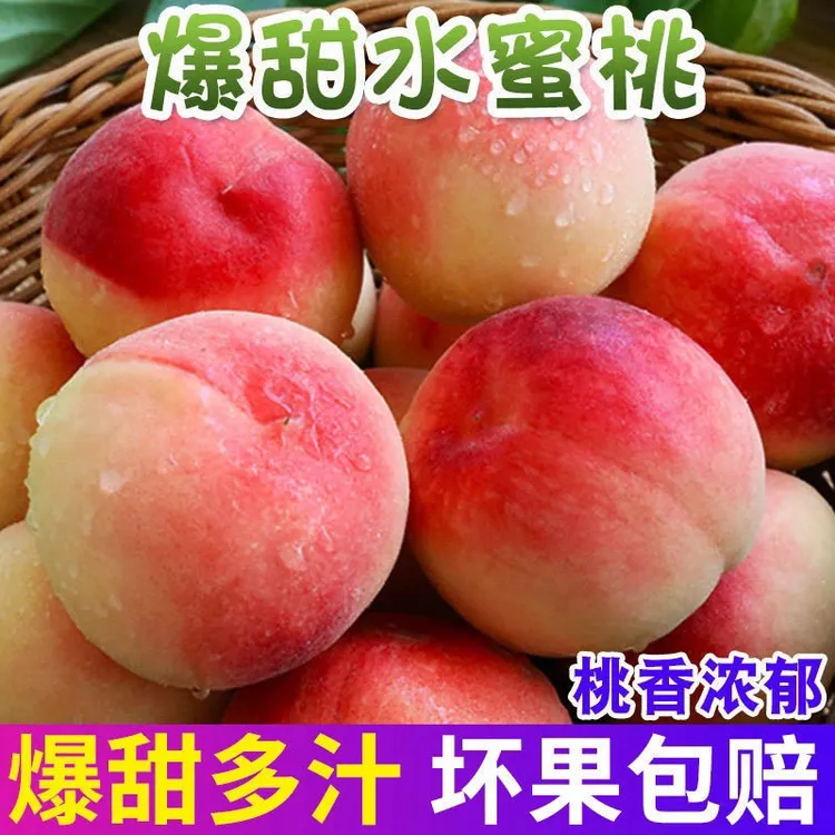 TY【顺丰京东随机】正宗水蜜桃新鲜应季水果农家自种现摘现发4.5斤