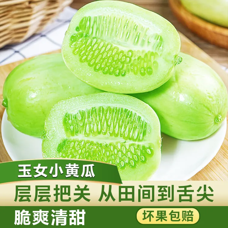 【脆嫩多汁】玉女黄瓜拇指小黄瓜水果黄瓜清脆爽口不涩口新鲜采摘商品图