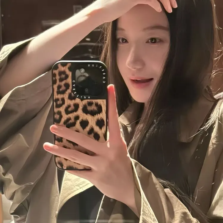 日韩艺术豹纹iPhone16promax手机壳13镜面苹果15/14pro简约高级12