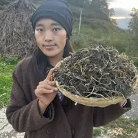 云南临沧昔归古树普洱生茶 花香蜜甜兰花香十足支持试喝
