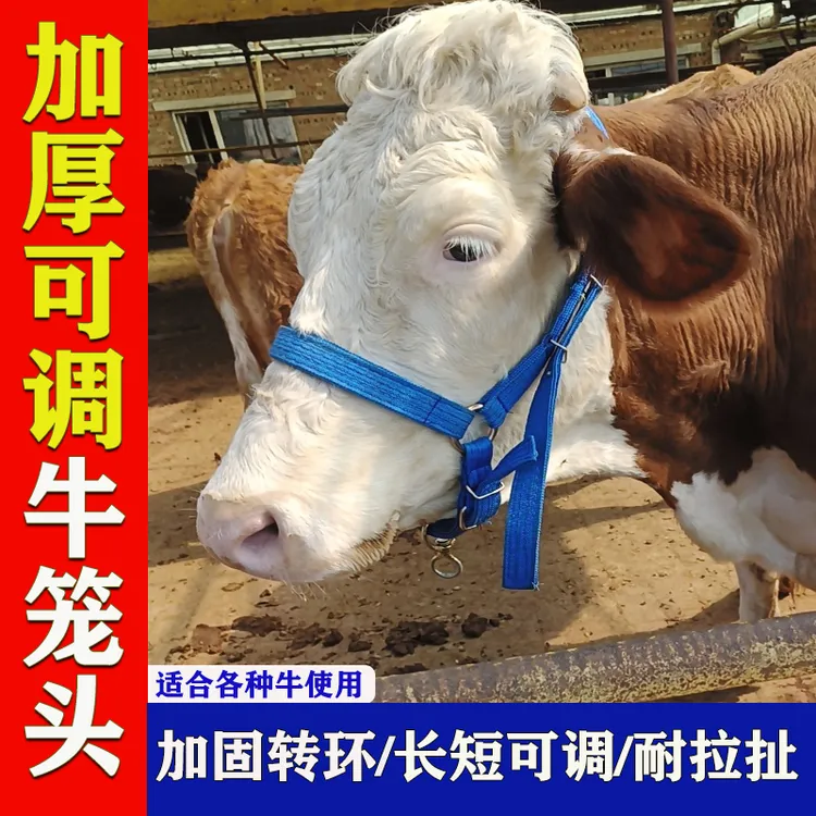 栓牛牛笼套加厚牛笼头套大小牛带头套全套可调牛龙头秃头大牛笼头
