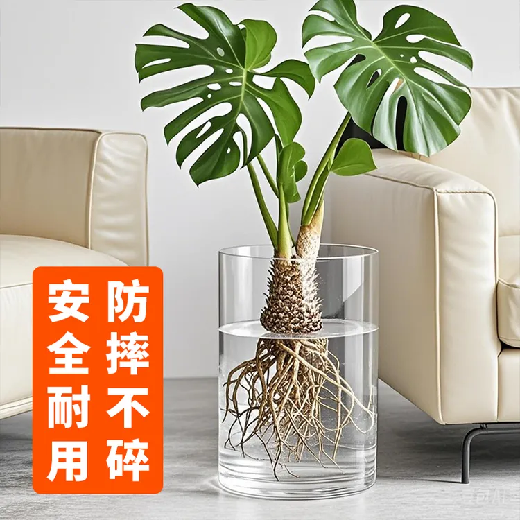 大号龟背竹春羽花瓶水培专用器皿落地大口径宽口塑料花盆不是玻璃