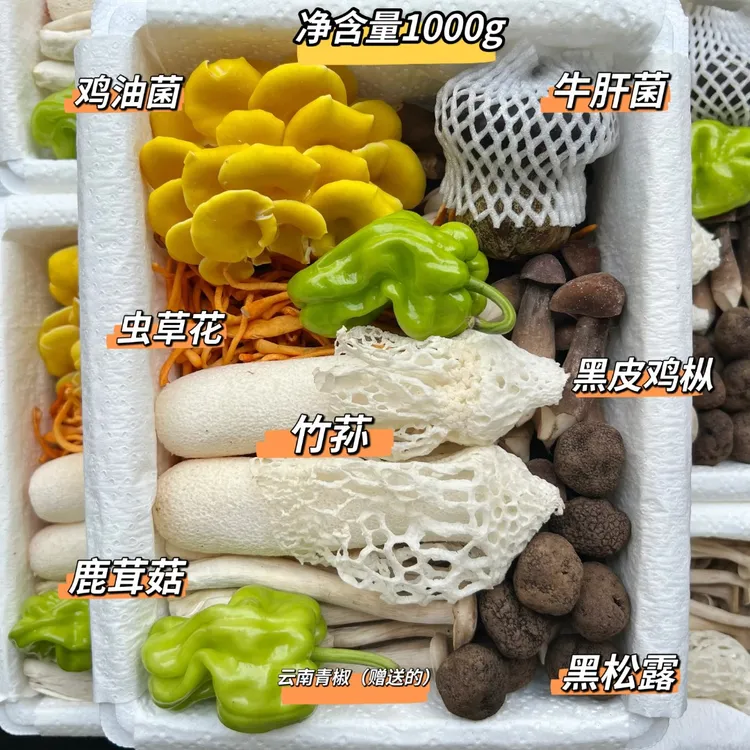 云南直发 七彩新鲜菌子组合 顺丰空运 菌菇蘑菇 煲汤火锅食材