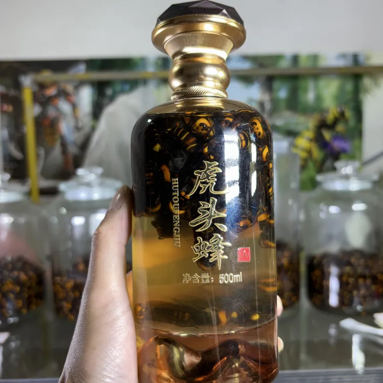 广西十万大山，山野金环虎头蜂400只虎头蜂