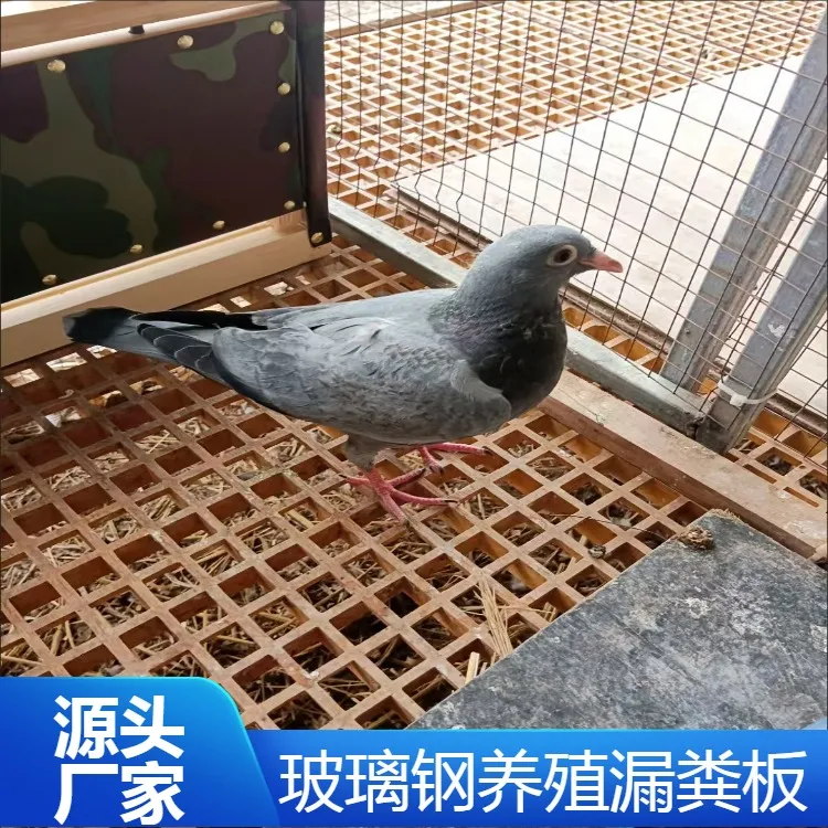 玻璃钢微孔格栅鸽舍地网养殖鸡鸭鹅 狗笼漏粪板洗车店地面