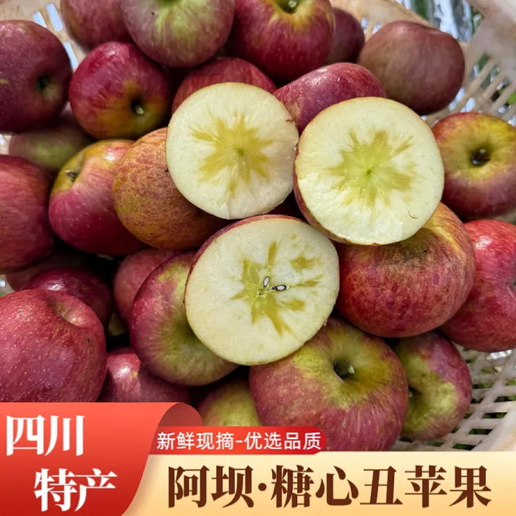 四川正宗阿坝州小金县冰糖心丑苹果新鲜当季水果整箱