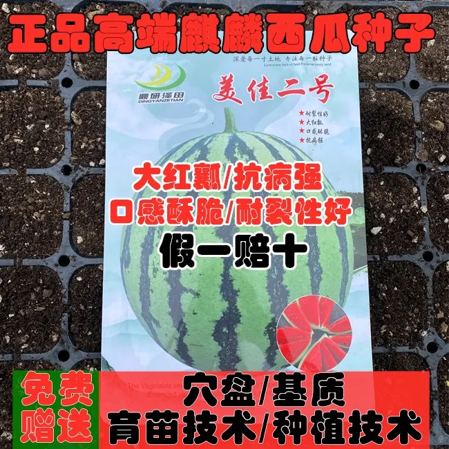 正宗麒麟西瓜种子高端麒麟西瓜种籽大红瓤薄皮抗裂西瓜种子西瓜籽