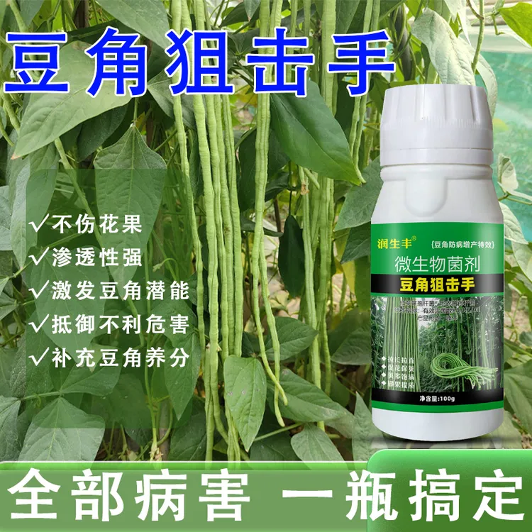 豆角专用微生物菌剂叶枯病锈病疫病黄叶病根腐病霜霉病专用水溶肥