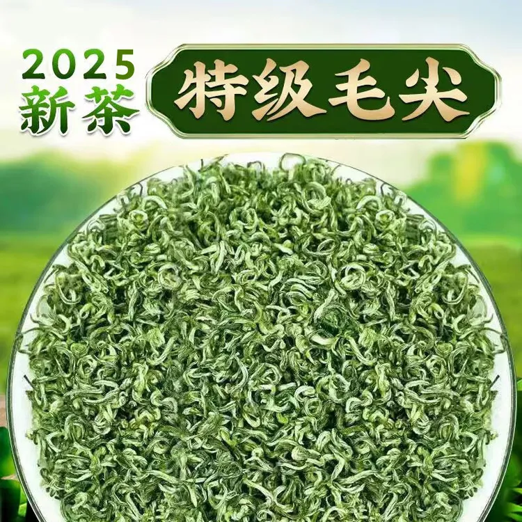 贵州都匀毛尖绿茶2025新茶明前手工茶叶浓香型耐泡正宗高山云雾茶