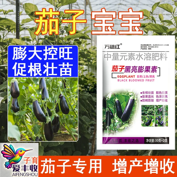 爱丰收【茄子宝宝】茄子种植嫩拉直拉长补钙镁膨壮茄子水溶叶面肥